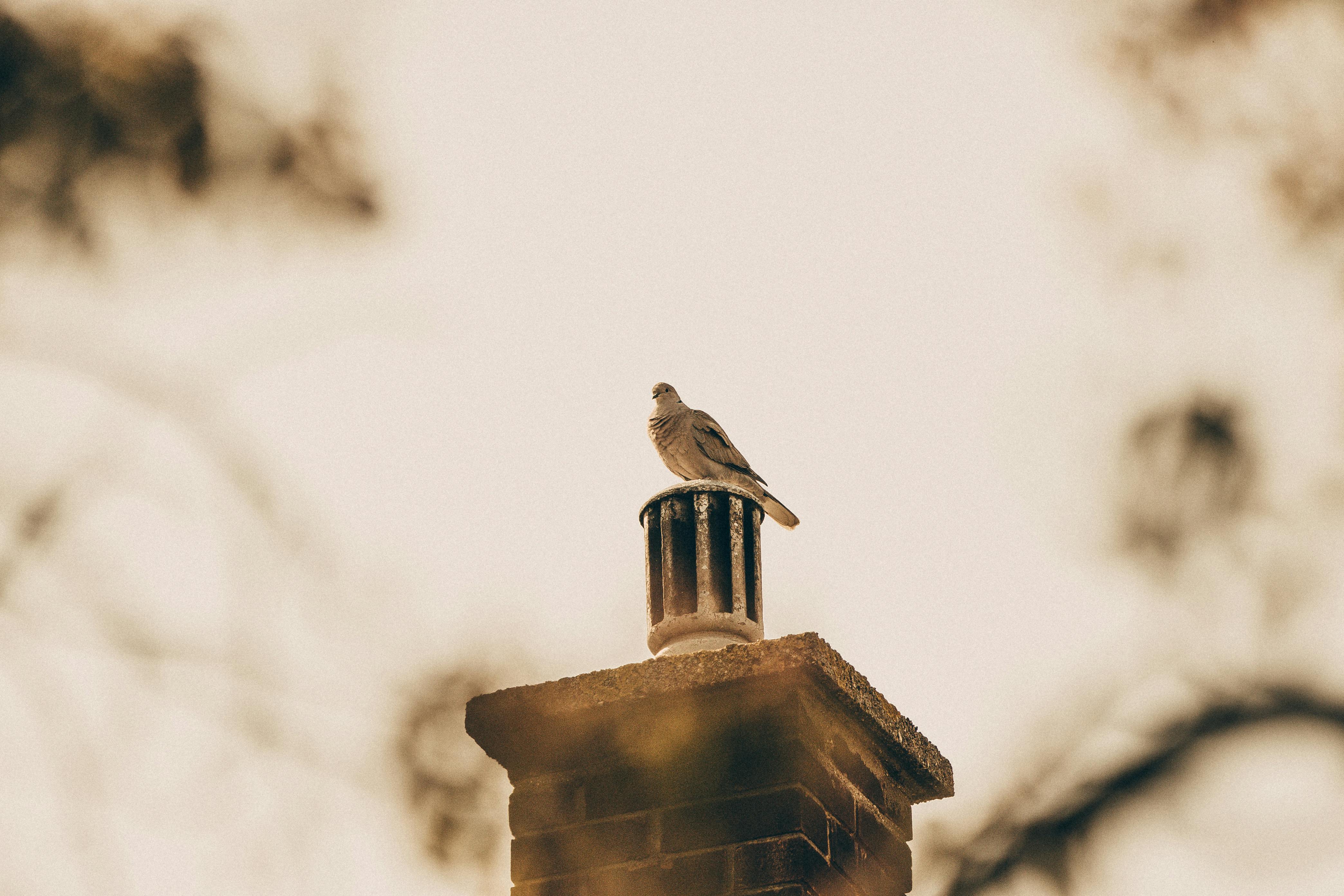 Professional Chimney Cap Installation Services in National City, CA Expert Chimney Cap Installation in National City, California